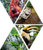 APAC-2025_Main-Element.png APAC-2025_Main-Element.png