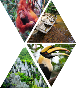 APAC-2025_Main-Element.png APAC-2025_Main-Element.png